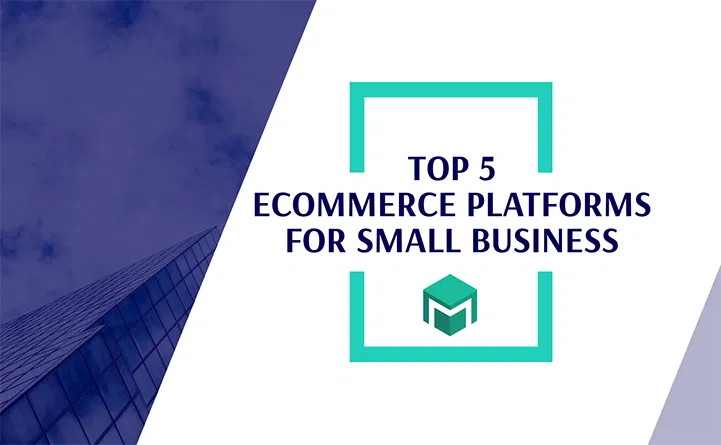 Top 5 Ecommerce Platforms For Small Business